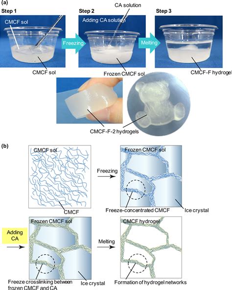 Eco-friendly Cellulose-based Hydrogels Derived From, 51% OFF