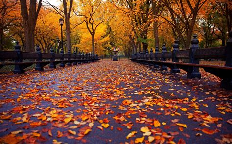 Central Park Autumn Wallpapers - Top Free Central Park Autumn ...