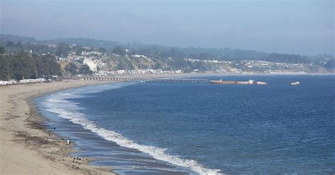 New Brighton State Beach in Capitola, USA | Sygic Travel