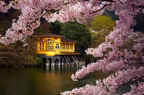 Japan, Honshu island wallpaper | nature and landscape | Wallpaper Better