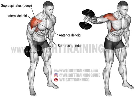 Dumbbell one-arm lateral raise exercise instructions and video