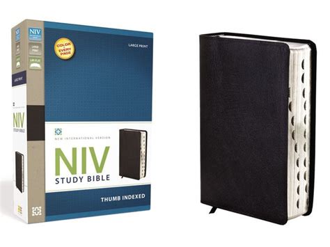 Study Bible-NIV-Large Print by Zondervan, Hardcover | Barnes & Noble®