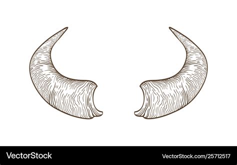 Realistic drawing horns cow bull bison Royalty Free Vector