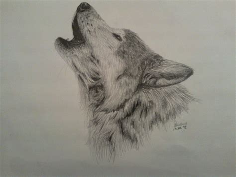 Cool Cool Wolves Howling Drawings images