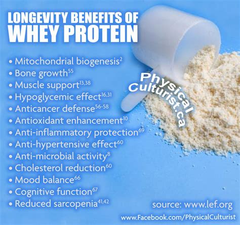 Benefits Of Whey Protein Powder