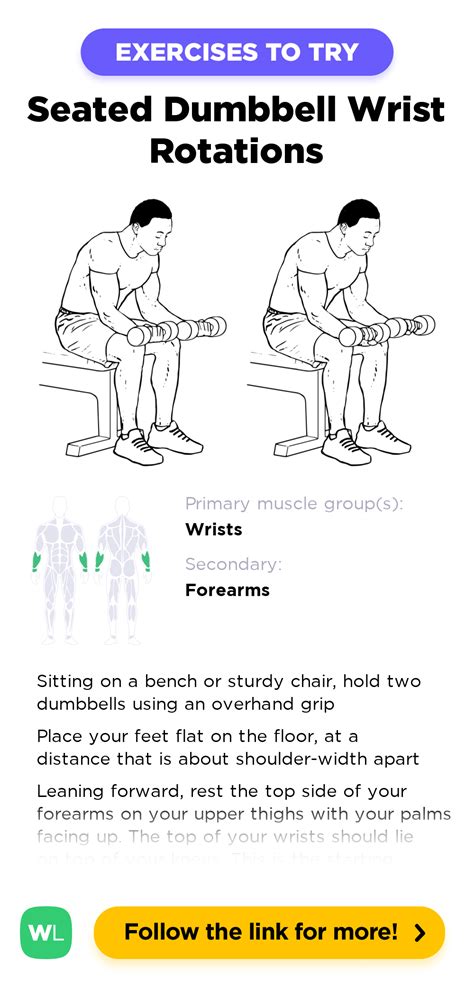 Seated Dumbbell Wrist Rotations / Circles – WorkoutLabs Exercise Guide