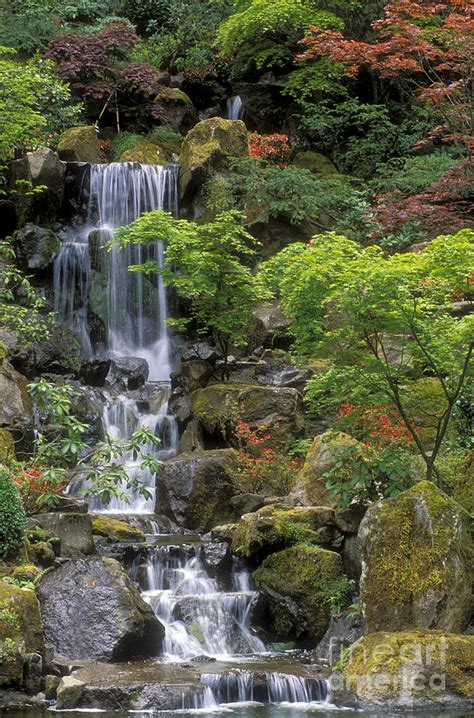 Japanese Garden Waterfall Photograph by Sandra Bronstein - Pixels