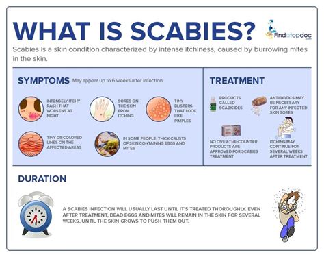 scabies treatment