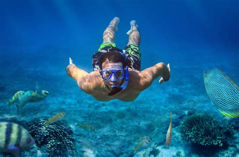 Honolulu Snorkel Tour: Explore Oahu's Underwater Beauty