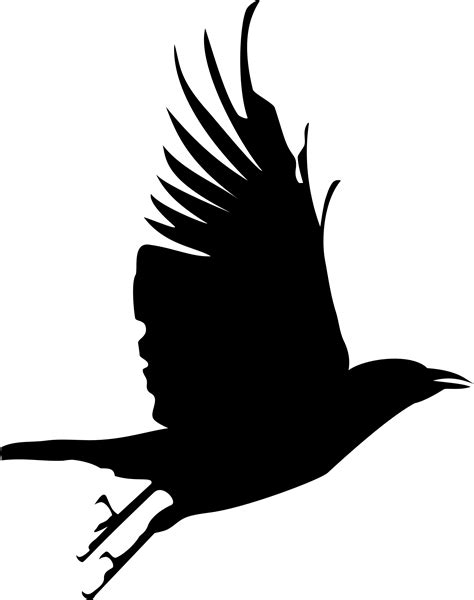 Crow silhouette, Crow flying, Crow painting