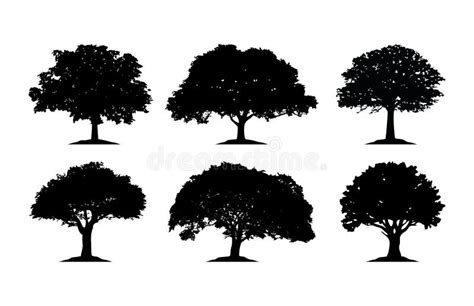 Oak Tree Silhouette Cliparts Stock Vector - Illustration of delicate, bark: 124853915