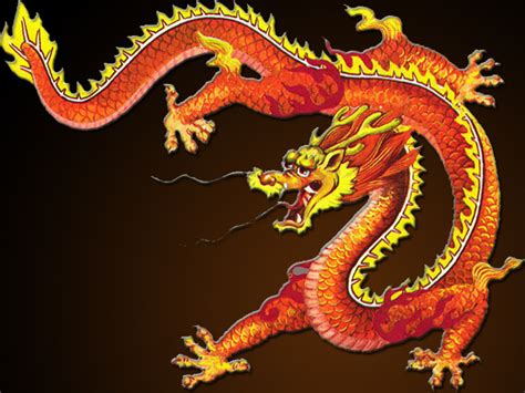 Chinese Dragon Wallpaper Free HD Backgrounds Images Pictures