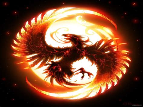 Fire Dragon Wallpapers - Wallpaper Cave