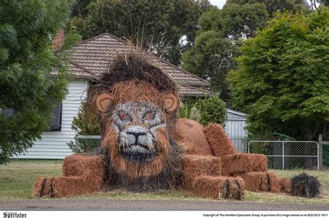 Tarrington hay bale art | spec.com.au