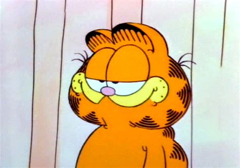 Garfield GIFs - Find & Share on GIPHY