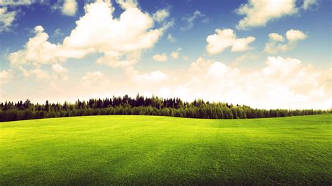 4K Grass Wallpapers - Top Free 4K Grass Backgrounds - WallpaperAccess