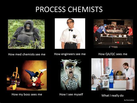 Chemjobber: How I see myself (everybody's doing it)