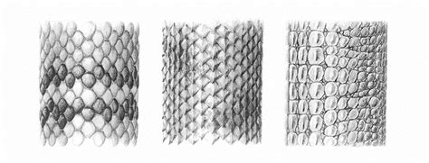 How to Draw Scales