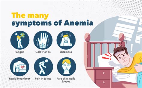 Anemia Profile Test in Chandigarh | TheAmberPost