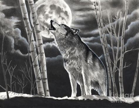 wolf howl | Wolf howling at moon, Wolf drawing, Wolf howling