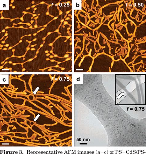 Figure 3 from Hierarchical nanoparticle/block copolymer surface features via synergistic self ...