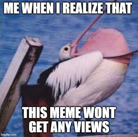 pelican Memes & GIFs - Imgflip