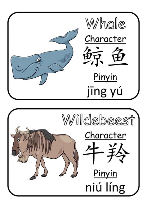 Mandarin chinese animals flashcards 101 animal vocabulary flash cards with english chinese ...