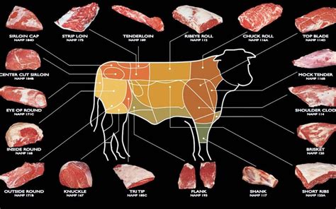 Cuts of Beef: A Comprehensive Guide to Cuts of Beef in Colombia