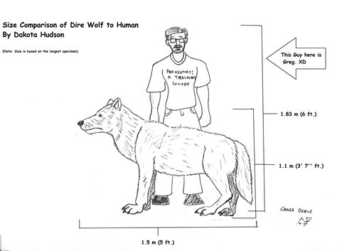 Dire Wolf to Human Size Comparison by TheNewOldDocHudson on DeviantArt