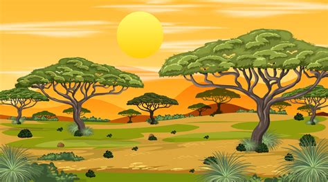 African Savanna forest landscape scene at sunset 2306325 Vector Art at ...