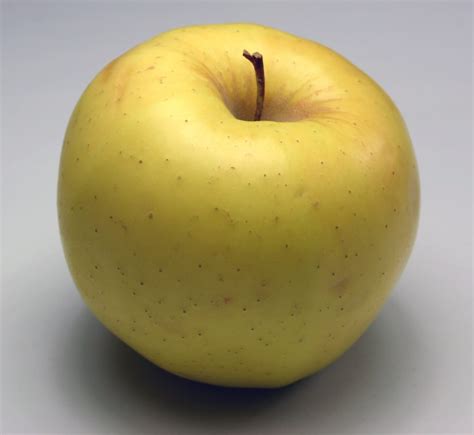 Buy Golden Apple 1kg | Online Fruits Delivery Cape Town | Fruits