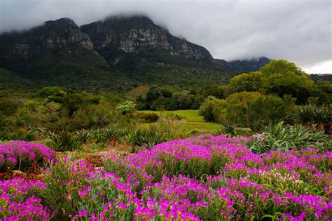 Most Beautiful Gardens In Cape Town | Fasci Garden