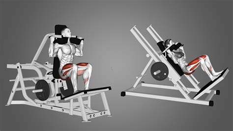 V Squat vs Hack Squat: The Differences Explained - Inspire US