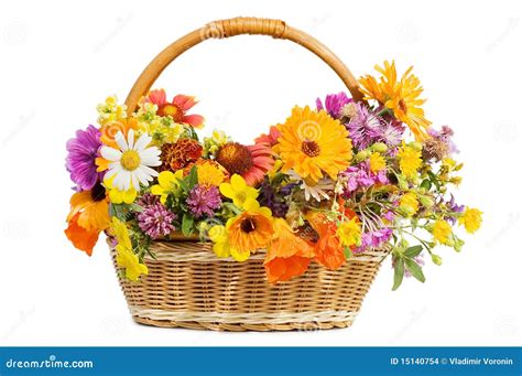 Beautiful Flowers in a Basket Stock Photo - Image of plant, freshness: 15140754