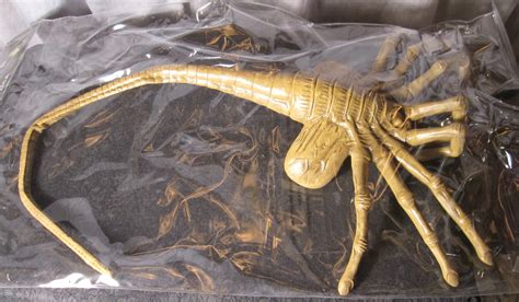 NECA - Alien 1:1 scale Xenomorph Facehugger Alien Creature prop replica #NEC-29429