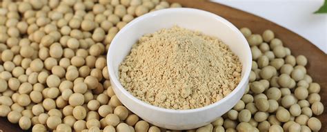 Soybean Meal | Brazilian Soybean | Brazil for Business Group