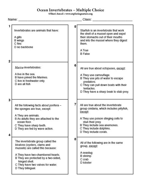 Ocean Invertebrates - Multiple Choice Quiz