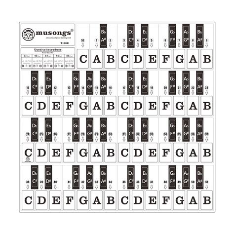 Piano Keyboard Stickers for 37/ 49/ 61/ 88 Keys Keyboards Removable Transparent Bigger Black ...