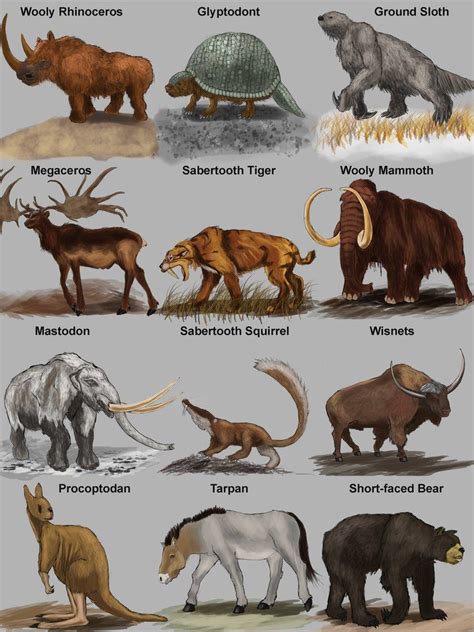 Image result for prehistoric mammals | Prehistoric animals, Mammals ...