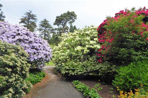 Royal Botanic Garden Edinburgh - Top Ten Garden