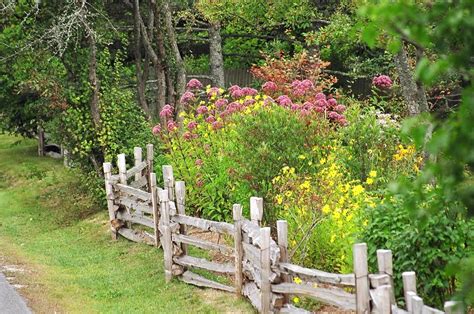 Rustic garden fence, Cottage garden design, Cottage garden