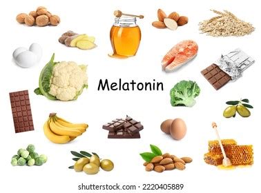 Different Foods Rich Melatonin That Can Stock Photo 2220405889 | Shutterstock