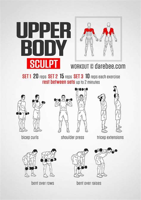 Total Upper Body Workout - Day 2