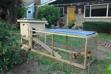 Файл:Backyard chicken coop with green roof.jpg — Уикипедия