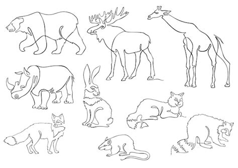 Premium Vector | One line animals set logos Animal continuous line drawing vector illustration