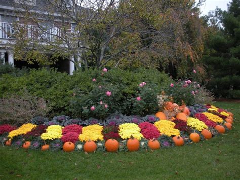 20+ Fall Flower Garden Ideas - MAGZHOUSE