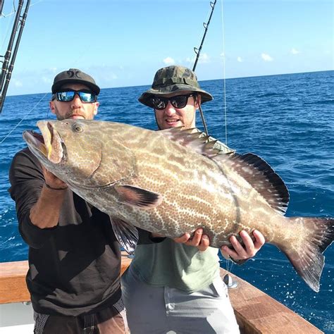 Grouper Fishing in Miami, Florida - How to Catch Grouper