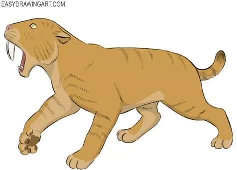 Saber Tooth Tiger Drawing For Kids