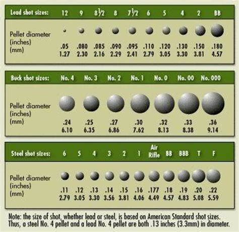 Shotgun Shells – a High Level Overview - Hiking, Camping and Shooting