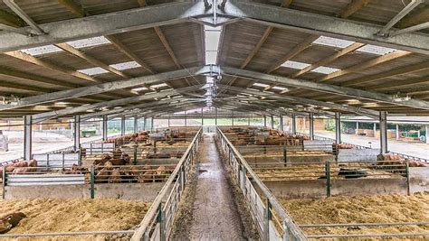 37 Beef cattle shed design uk with Simple Design | Sample Design with ...